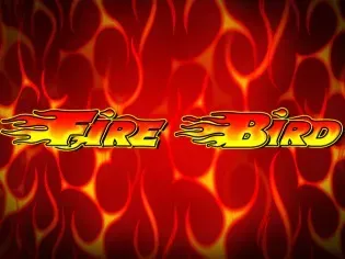 Fire Bird game cover