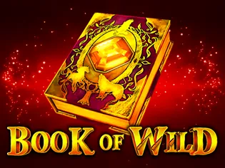 Book of Wild thumbnail